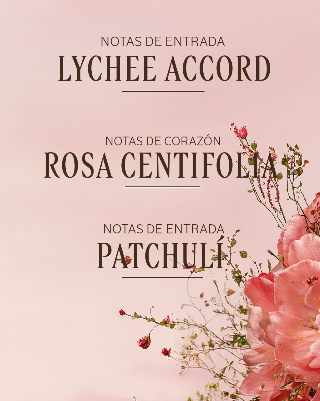 ROSE PERFUMED HAND CREAM