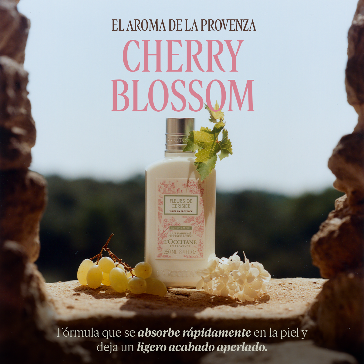 BODY LOTION CHERRY BLOSSOM 250ML