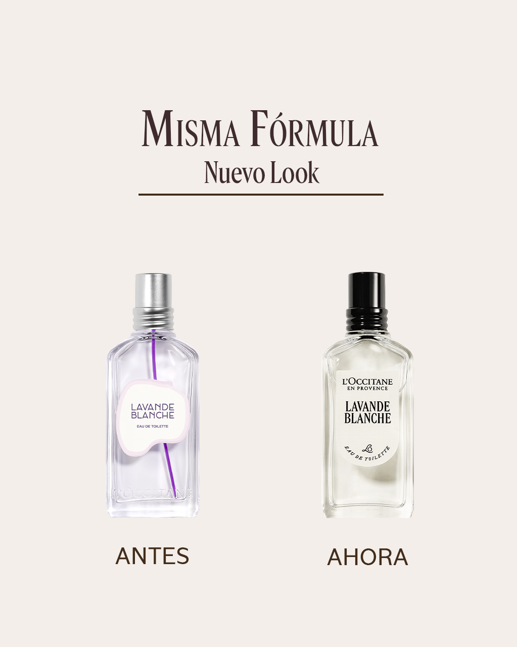 EAU DE TOILETTE LAVANDA BLANCA - Illustration 7